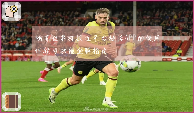 畅享世界杯投注平台链接APP的使用体验与功能全解指南