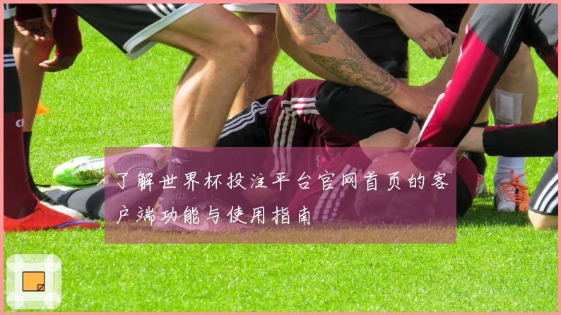 了解世界杯投注平台官网首页的客户端功能与使用指南